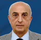 Shri V. K. Shunglu